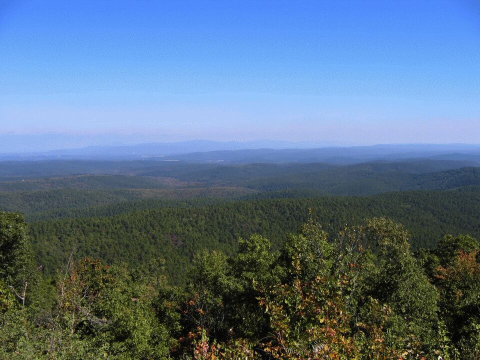 Ouachita National Forest