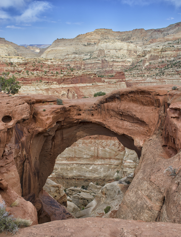 Cassidy Arch