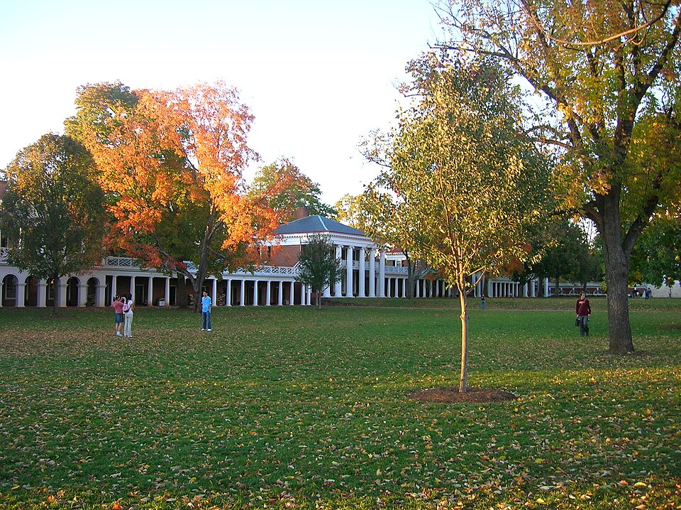 The Lawn