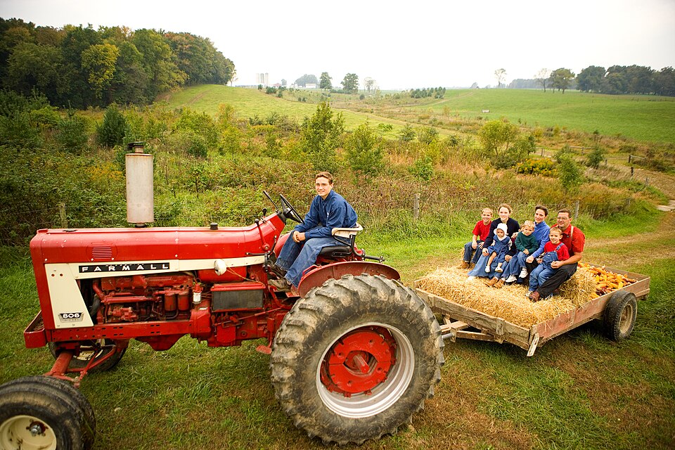 Hayride & Chuckwagon Cookout at Blue Bell Lodge