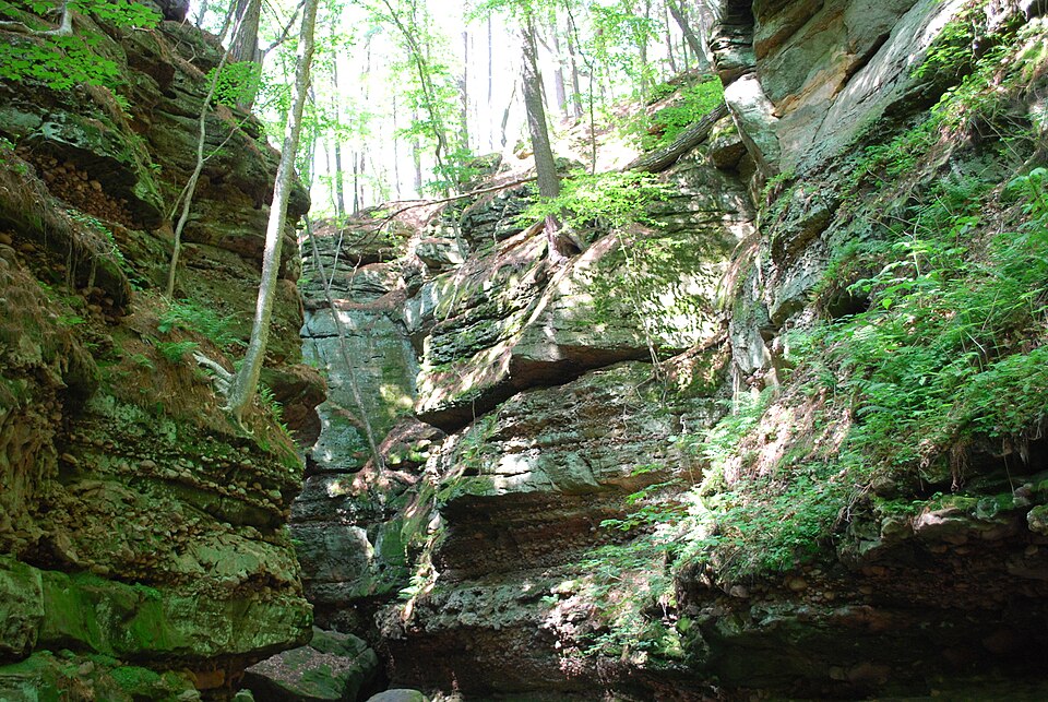 Parfrey's Glen State Natural Area