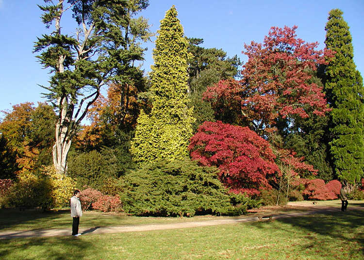 Arboretum & Botanical Garden