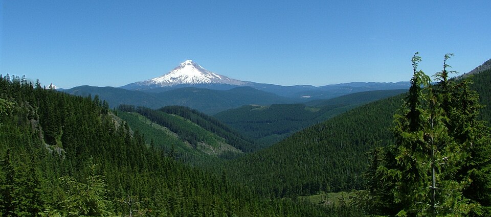 Mount Hood National Forest