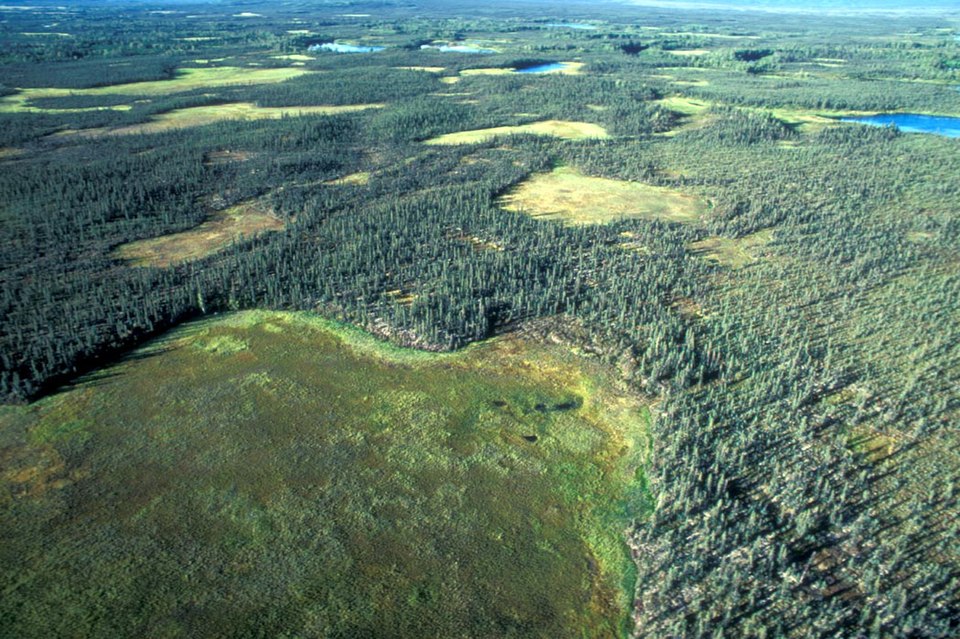 Selawik National Wildlife Refuge
