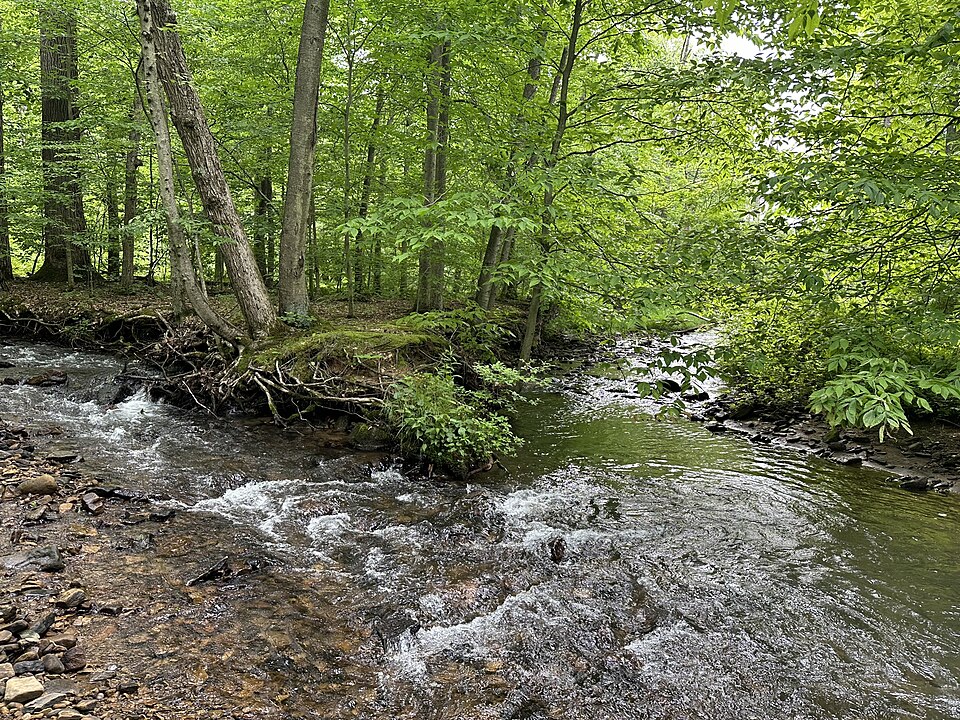 Powdermill Nature Reserve
