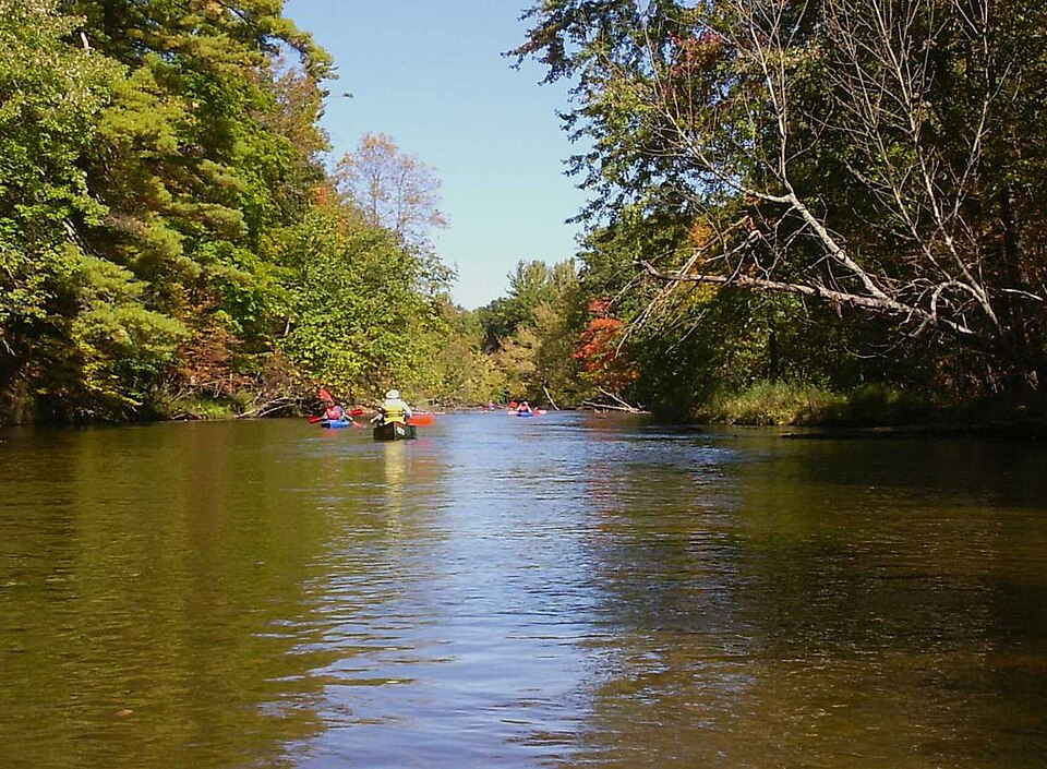 Huron-Manistee National Forests