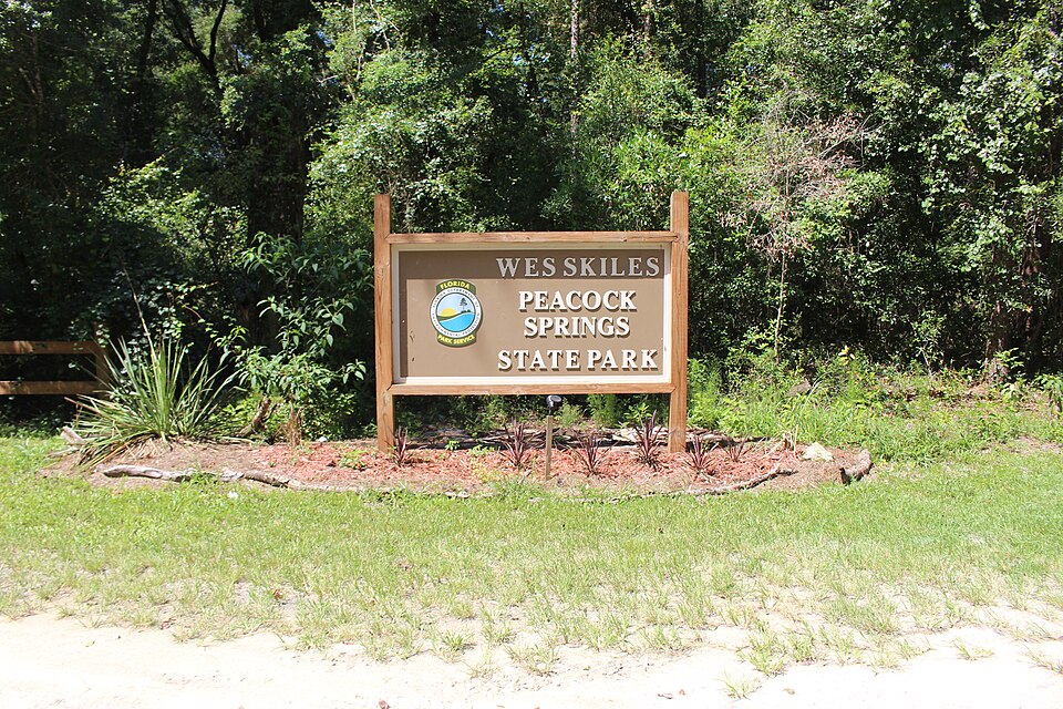 Wes Skiles Peacock Springs State Park