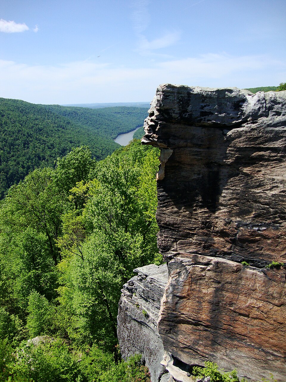 Coopers Rock