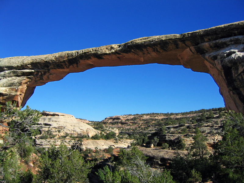 Natural Bridges National Monument