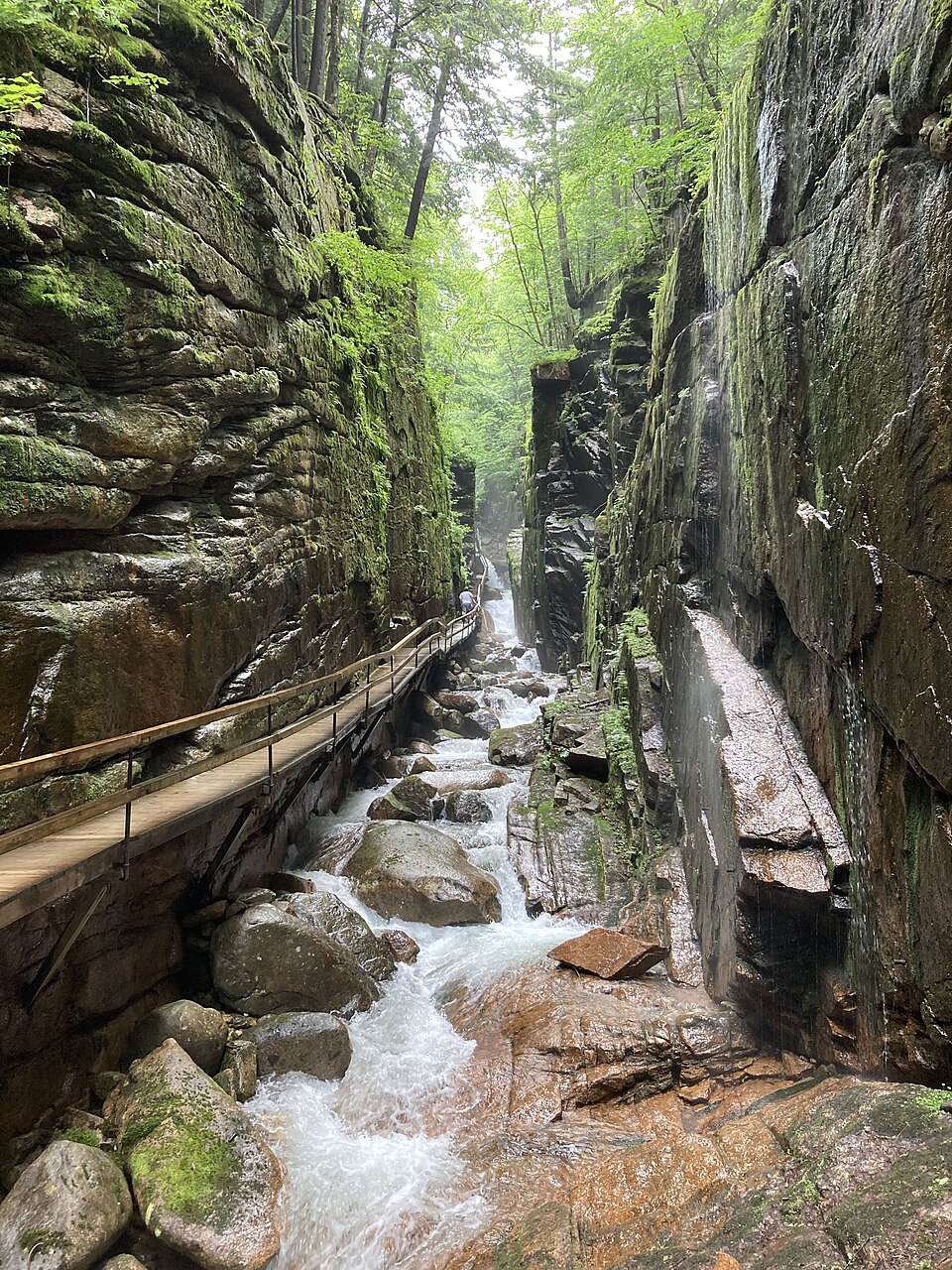 Flume Gorge
