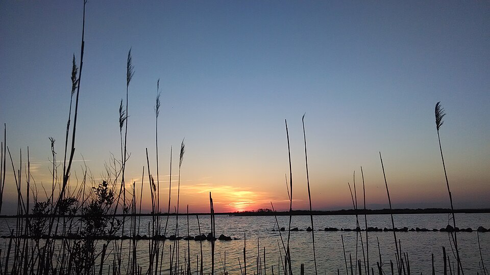 Back Bay National Wildlife Refuge