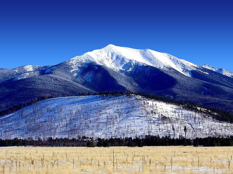 Coconino National Forest
