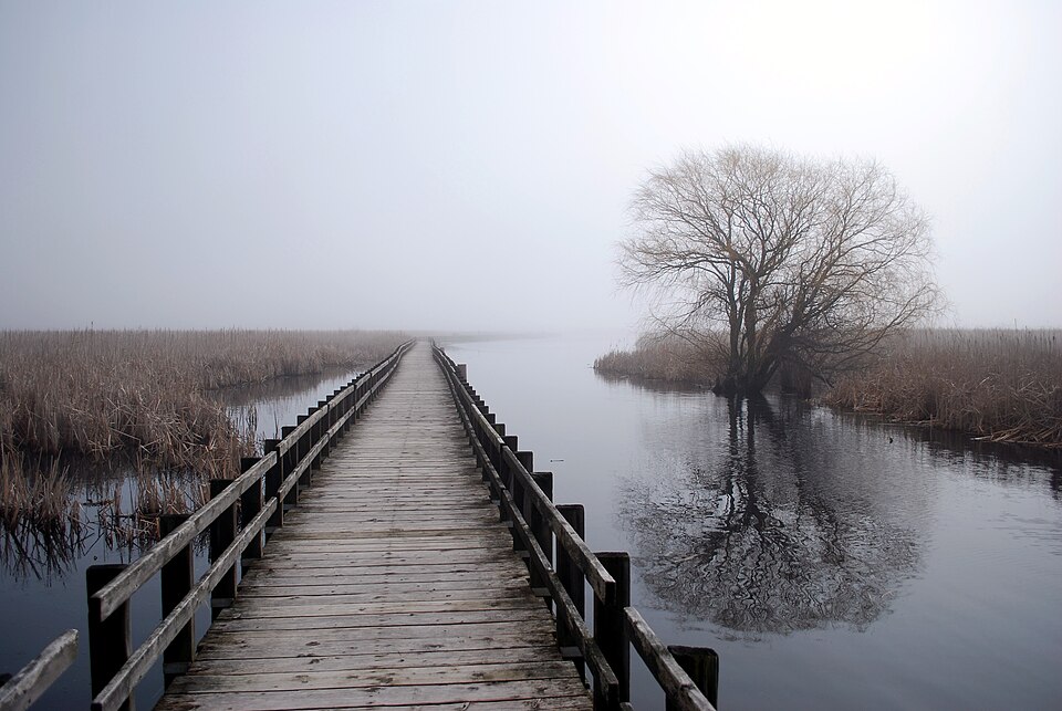 Point Pelee National Park