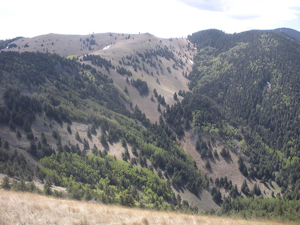Lincoln National Forest