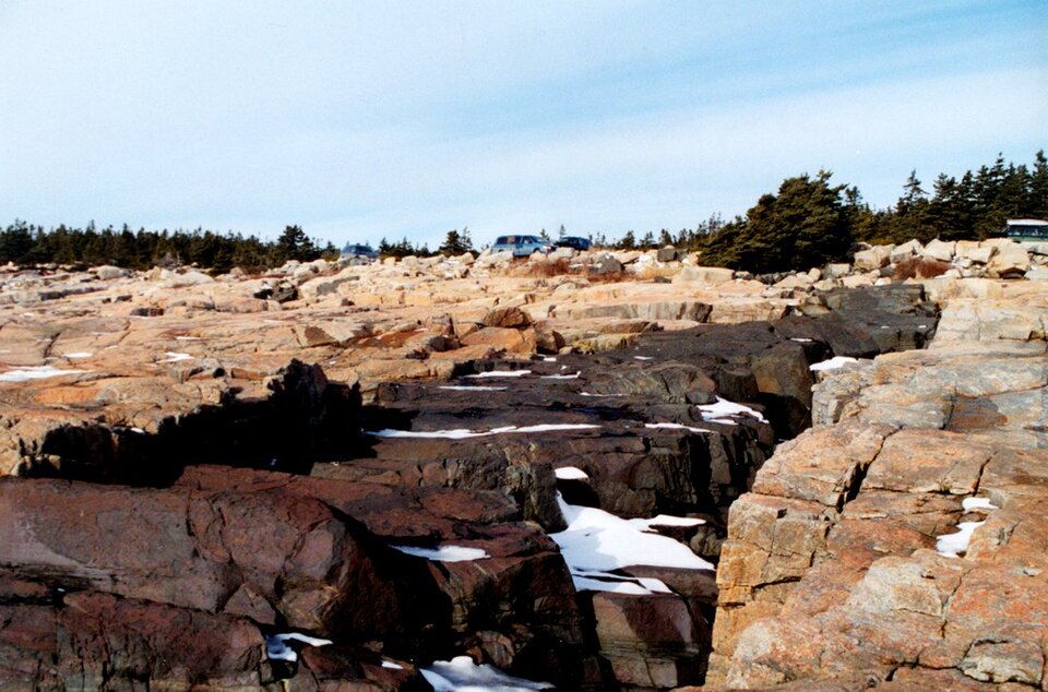Schoodic Point