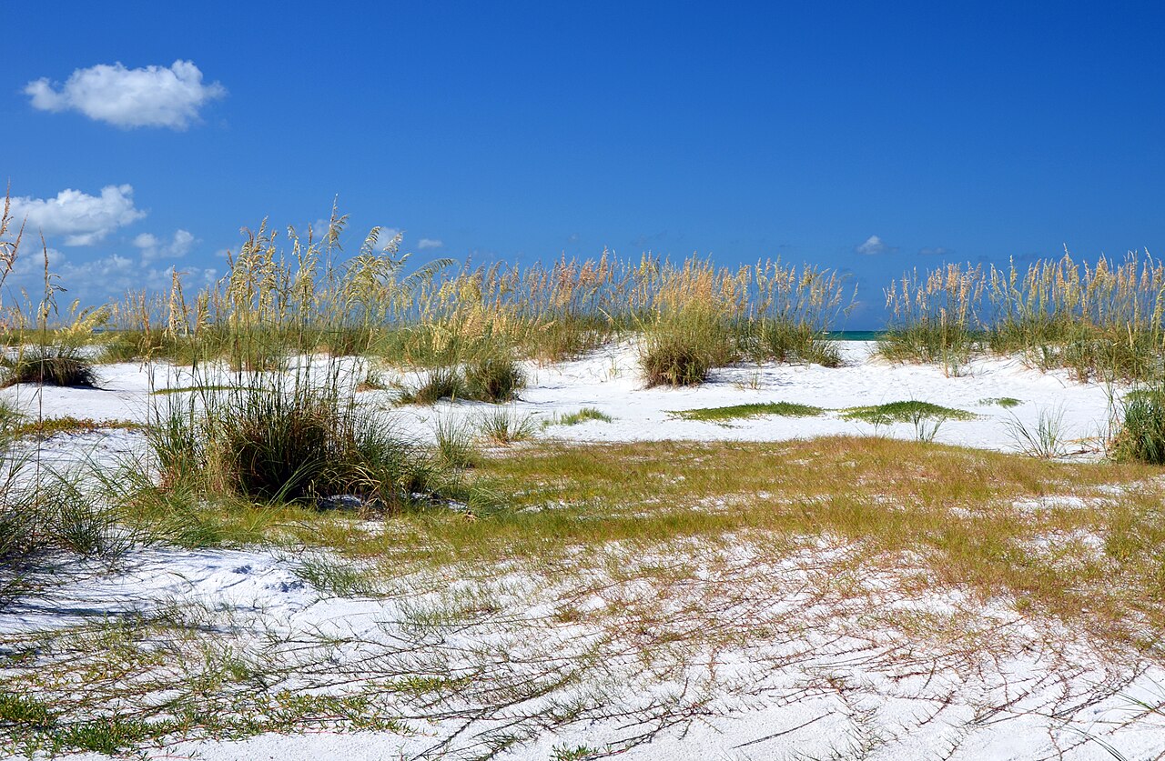 Anna Maria Island, FL