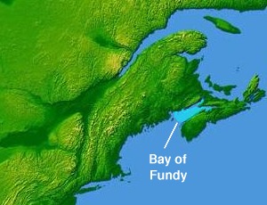Bay of Fundy, NB