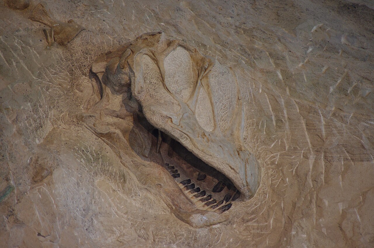 Dinosaur National Monument, CO/UT