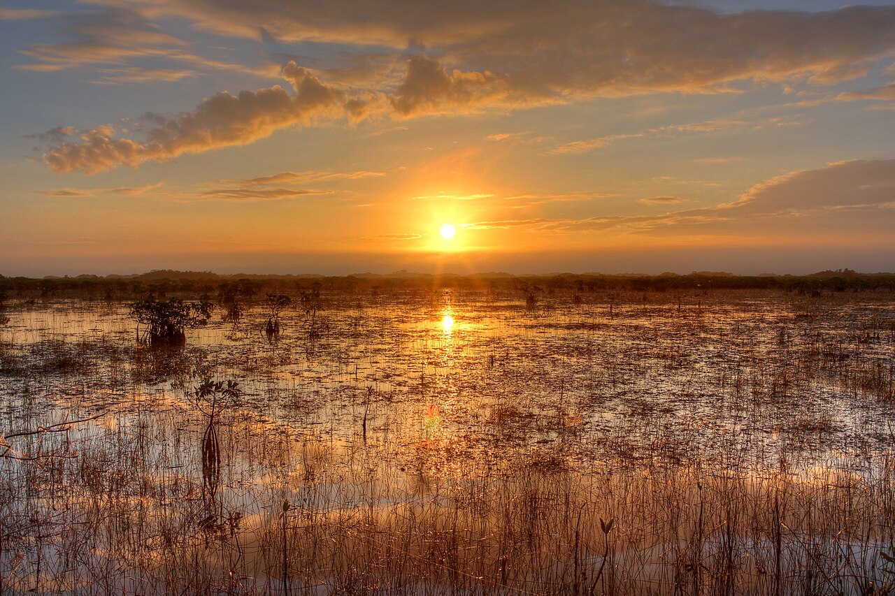 Everglades National Park, FL