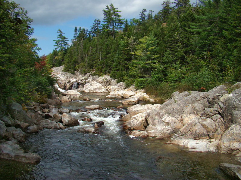 Fundy National Park, NB