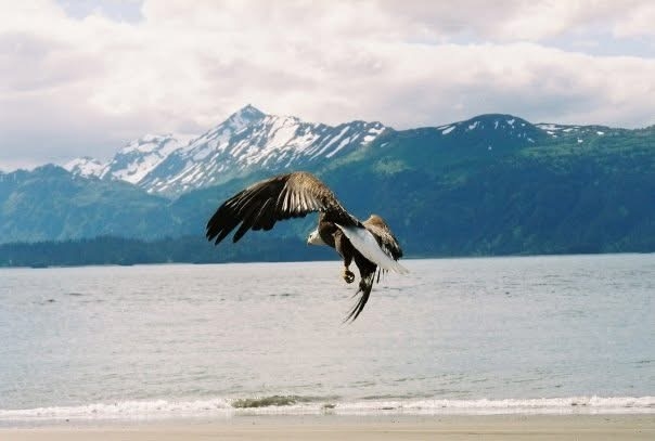 Homer, AK