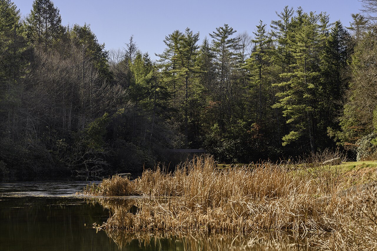 Little Beaver State Park, WV