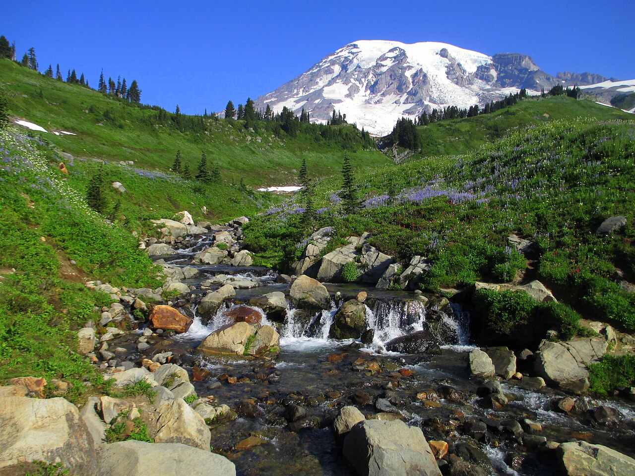 Mount Rainier National Park, WA