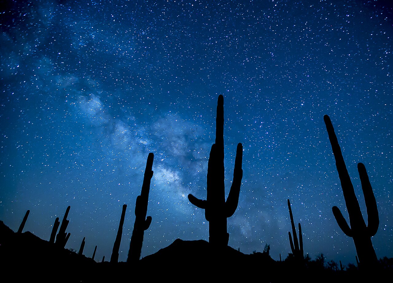 Sonoran Desert National Monument, AZ