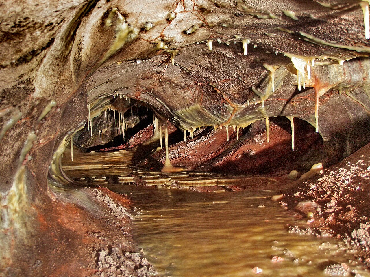 Wind Cave National Park, SD