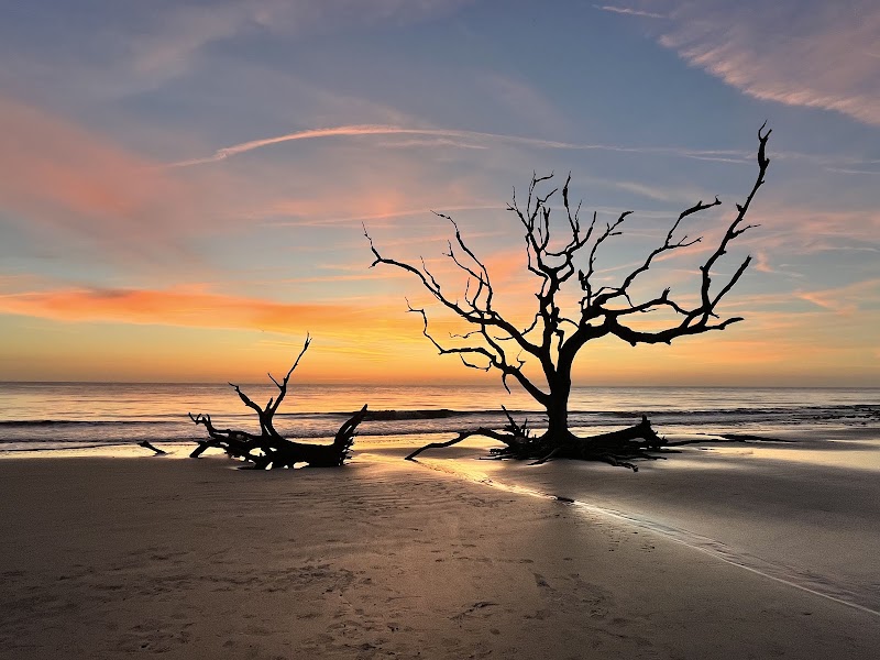 Driftwood Beach