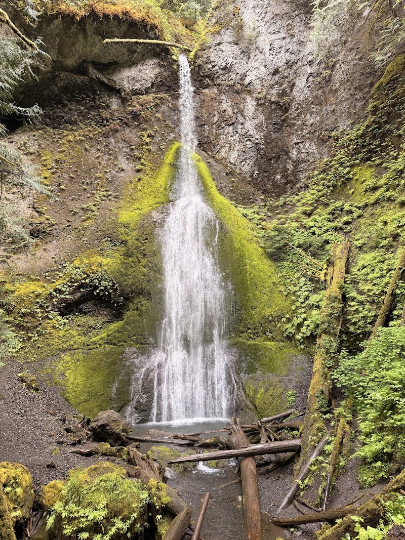 Marymere Falls Trailhead