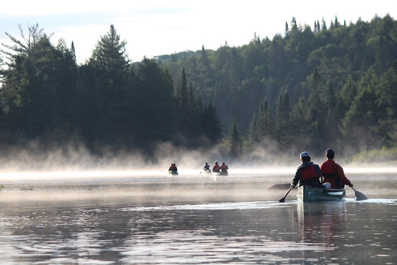 Driftwood Paddle Algonquin