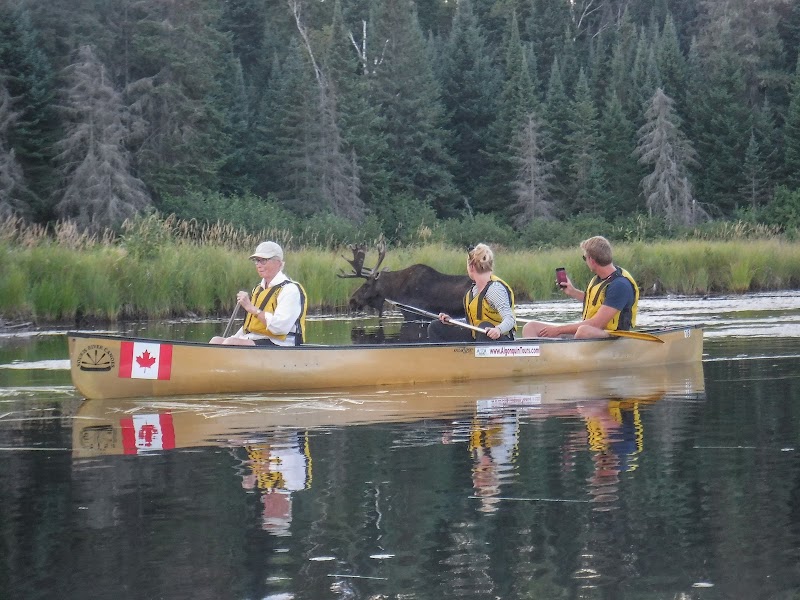 Algonquin Park Adventure Tours