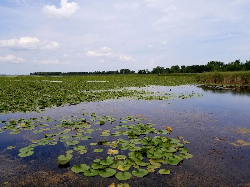 Tobico Marsh Nature Area
