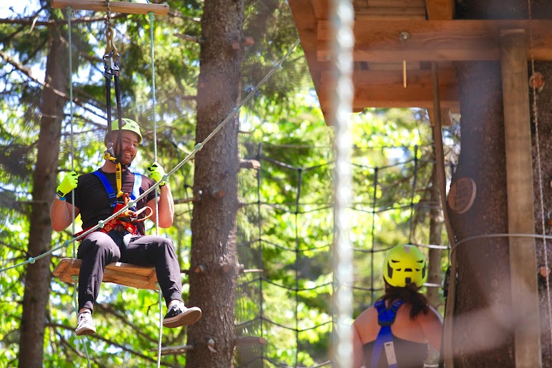 TimberTop Adventures