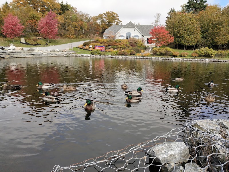 Rockwood Park