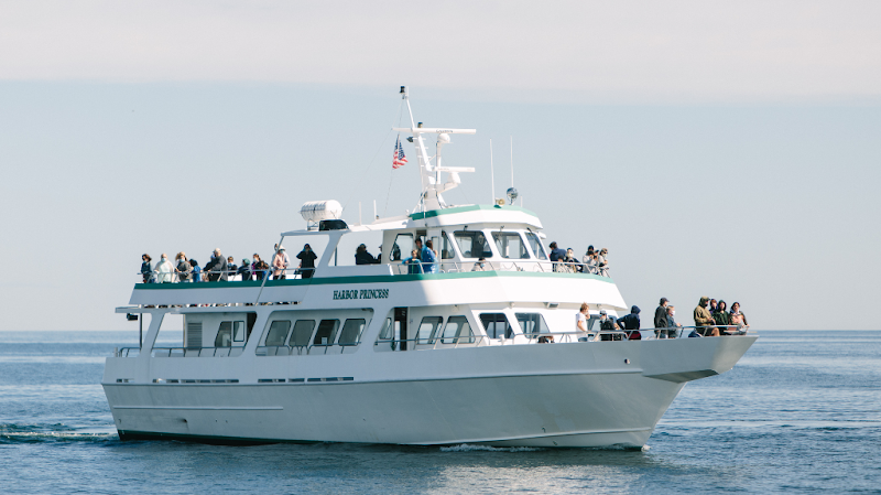Cap'n Fish's Cruises