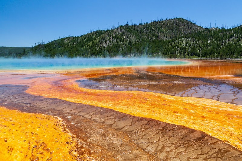 Yellowstone Safari Company