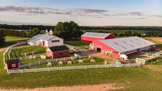 Island Hill Farm