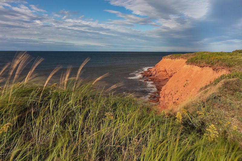 Oceanview Lookout