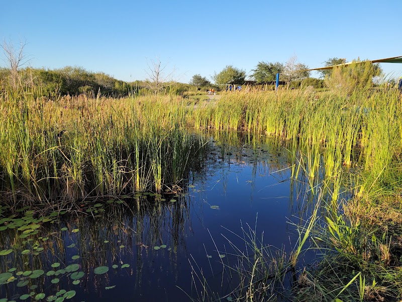 Oso Bay Wetlands Preserve and Learning Center Corpus Christi, TX