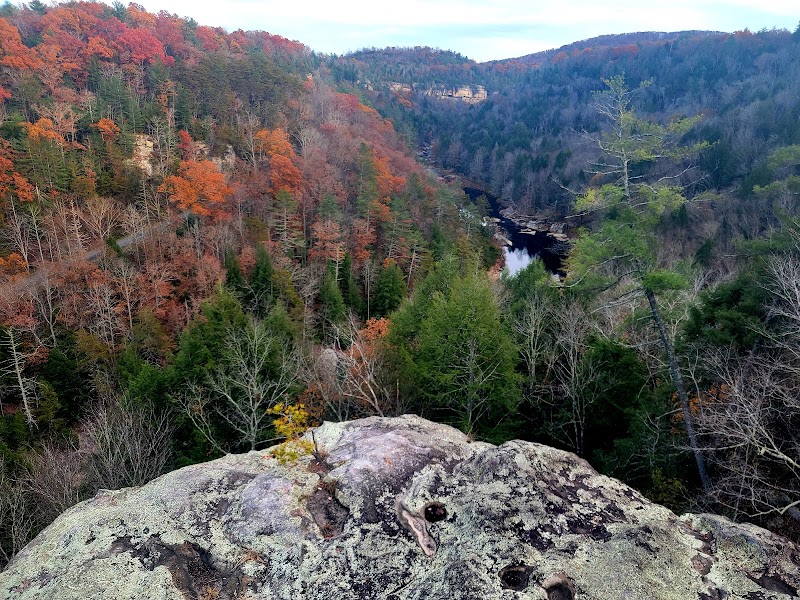 Lilly Bluff