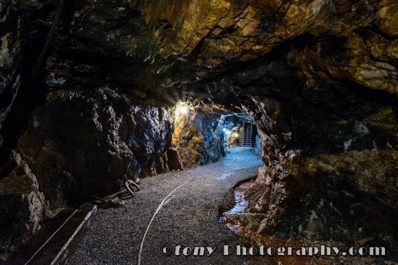 Consolidated Gold Mine