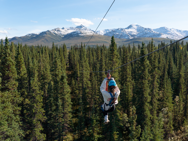 Denali Park Zipline