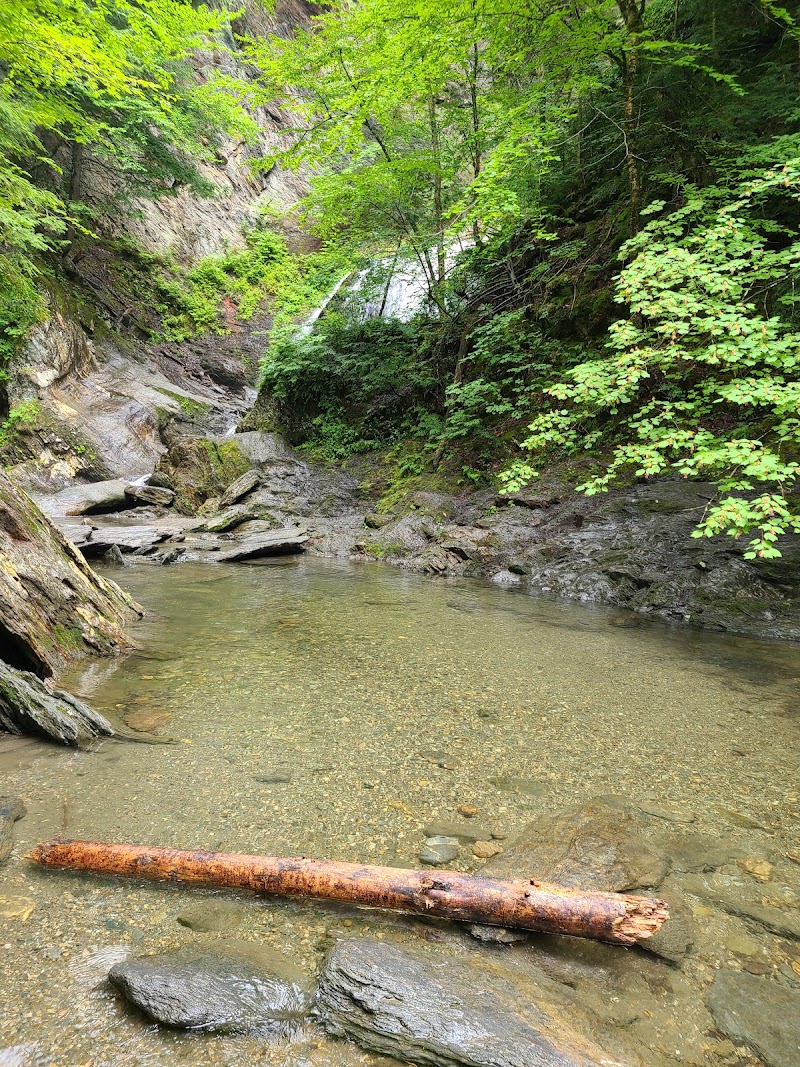 Moss Glen Falls
