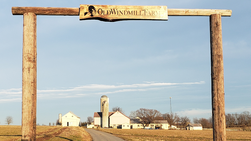 Old Windmill Farm