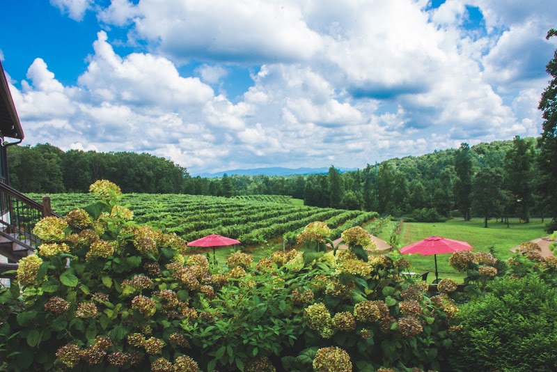 Engelheim Vineyards