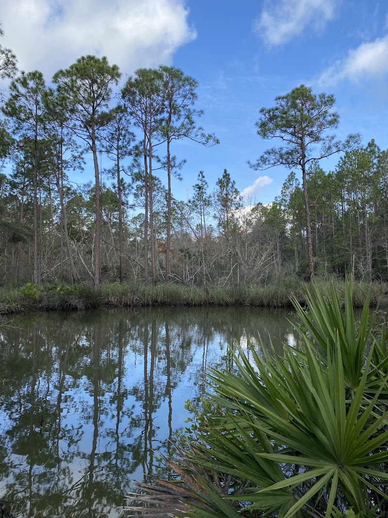 Graham Creek Nature Preserve