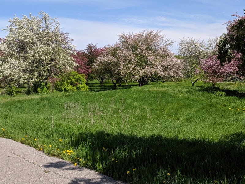Orchard Glen Park