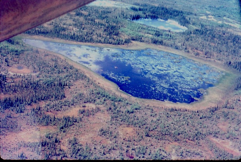Parker Lake Ecological Reserve